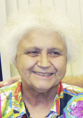 Berrien county local proposals and races